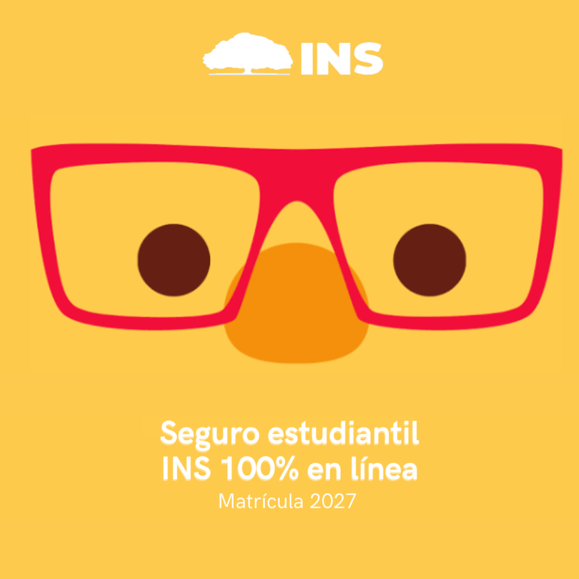 Seguro estudiantil INS 100% en línea, matrícula 2027, Costa Rica